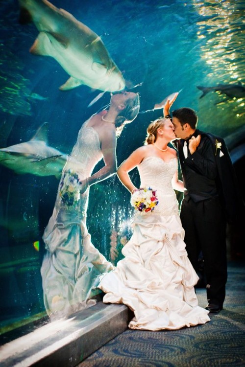Fotografías-en-el-momento-justo-acuario