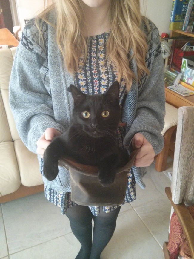 gato-negro-dentro-de-un-sombrero