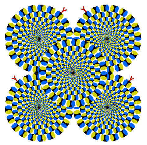 ilusion-optica-imagen-no-se-mueve