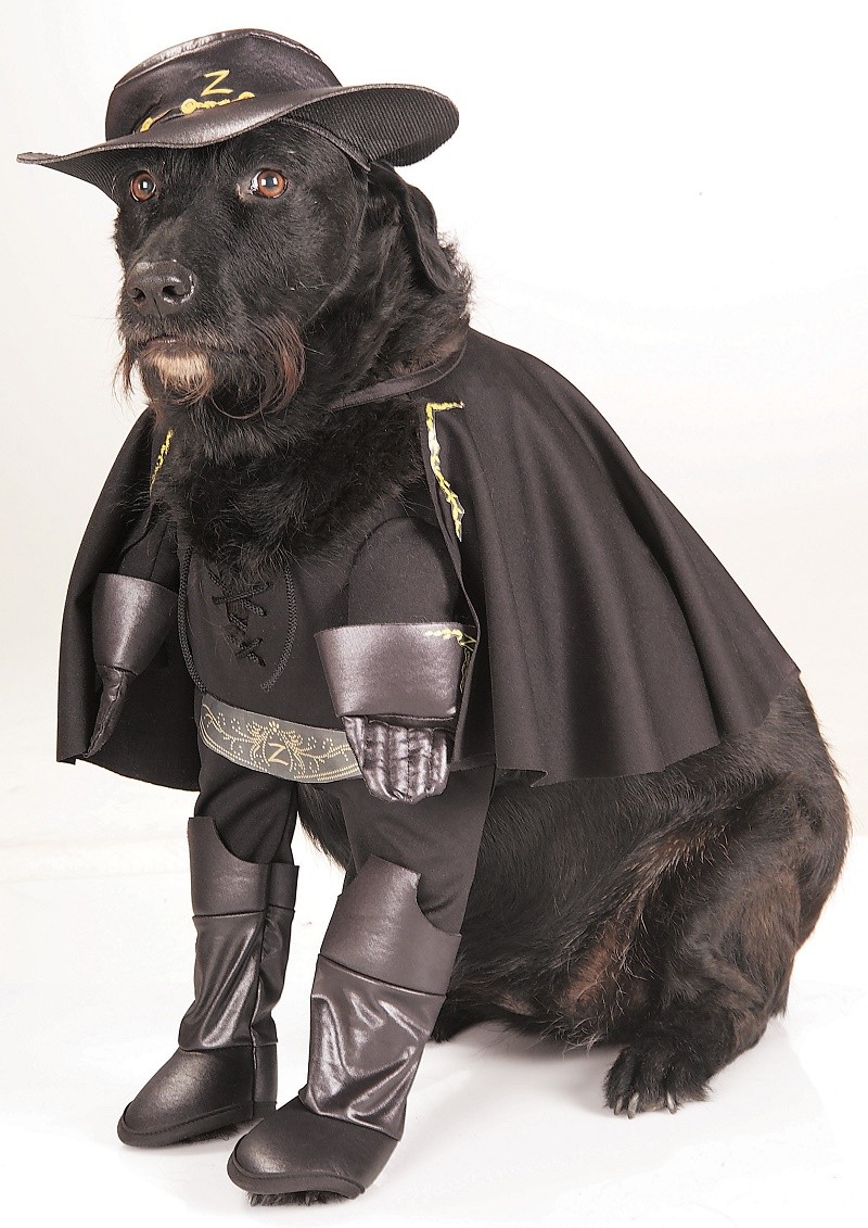 perros-disfrazados-de-superheroes-19