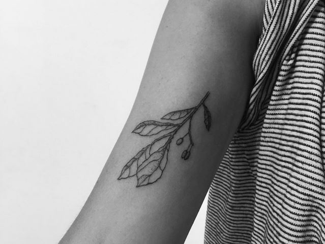 tatuaje-minimalista-planta