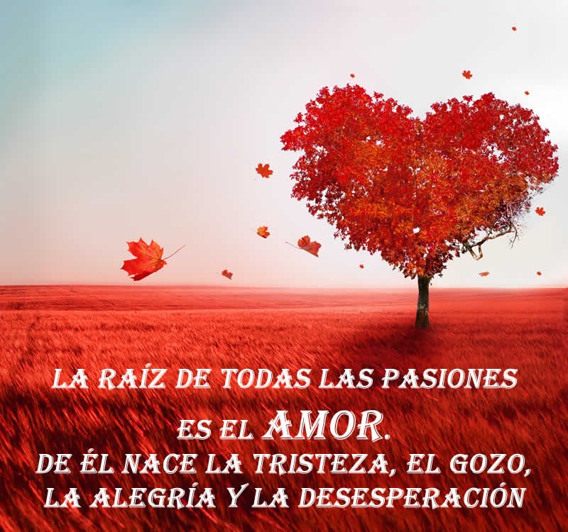 arbol-amor