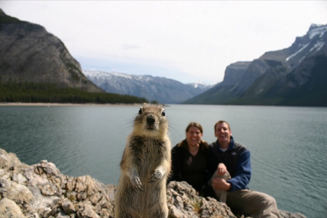 fotos graciosas de animales (2)