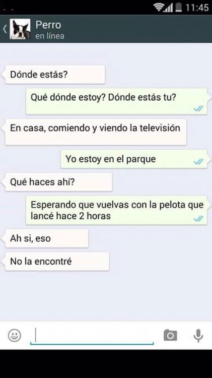 conversaciones-perro-whatsapp-01