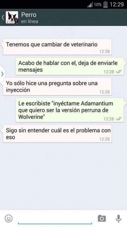 conversaciones-perro-whatsapp-02