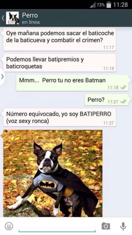 conversaciones-perro-whatsapp-03