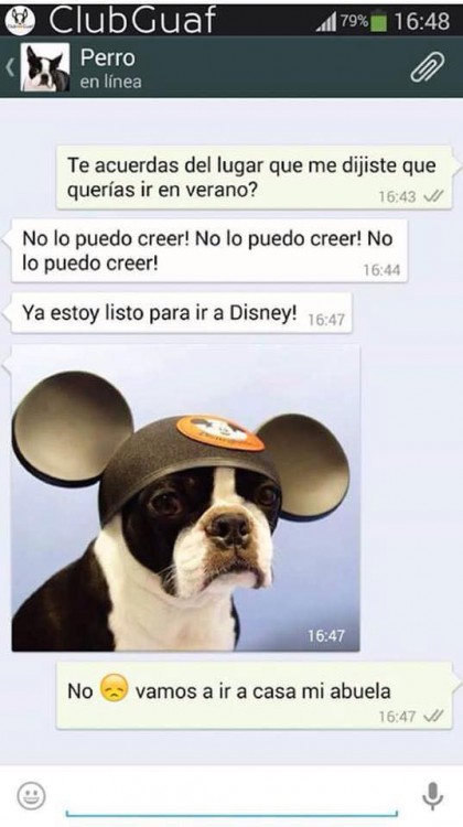 conversaciones-perro-whatsapp-06