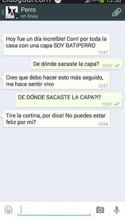 conversaciones-perro-whatsapp-07