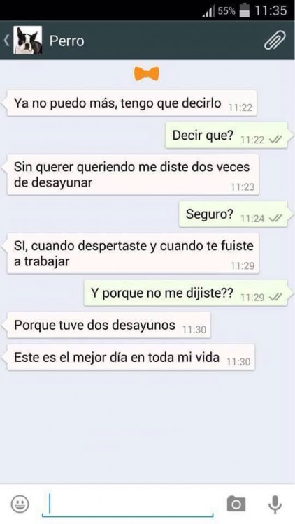 conversaciones-perro-whatsapp-08