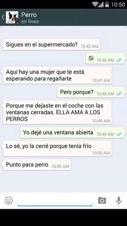 conversaciones-perro-whatsapp-10