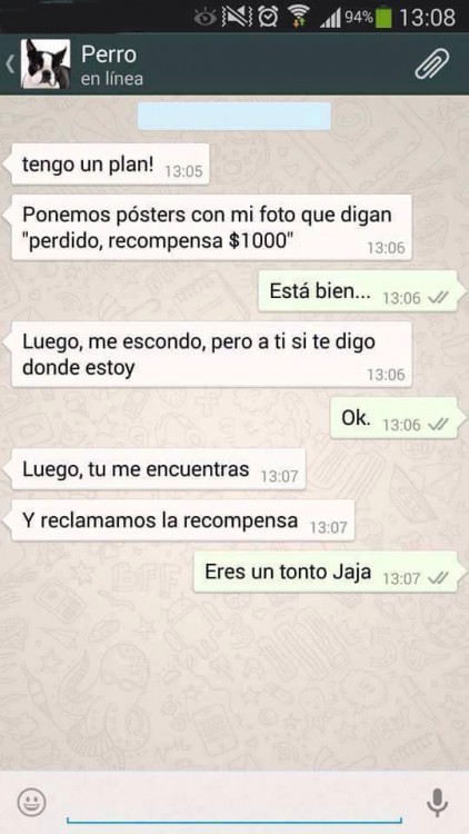 conversaciones-perro-whatsapp-11