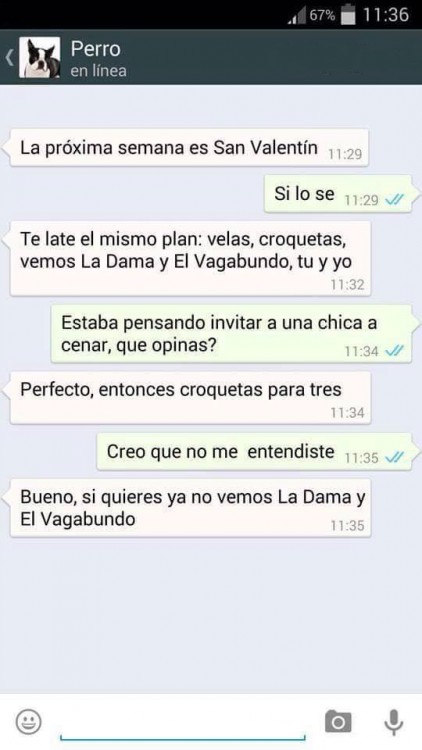 conversaciones-perro-whatsapp-12