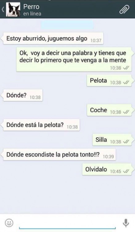 conversaciones-perro-whatsapp-13