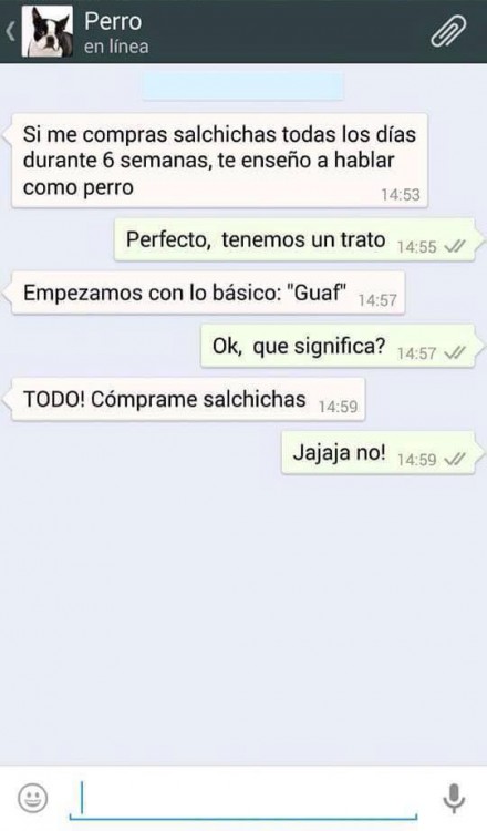 conversaciones-perro-whatsapp-14