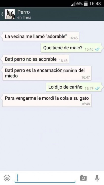 conversaciones-perro-whatsapp-16