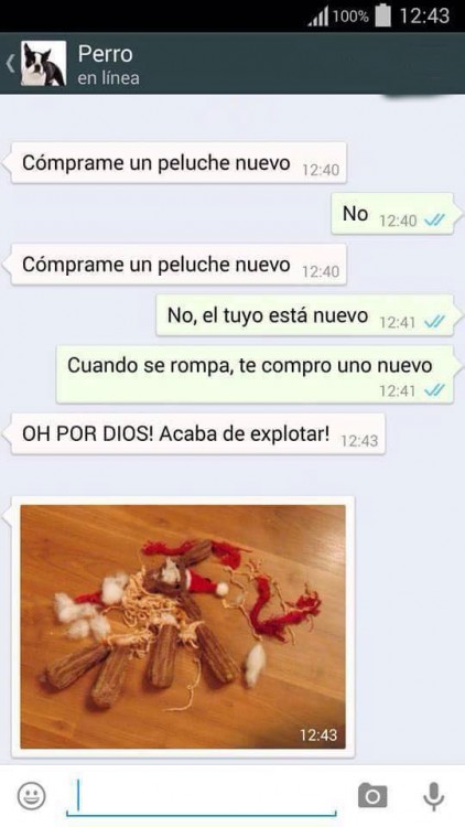 conversaciones-perro-whatsapp-19