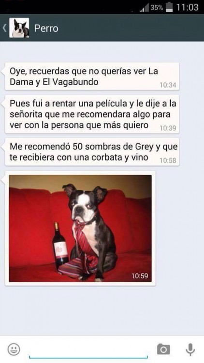 conversaciones-perro-whatsapp-20