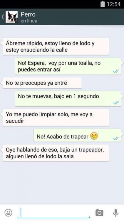 conversaciones-perro-whatsapp-21