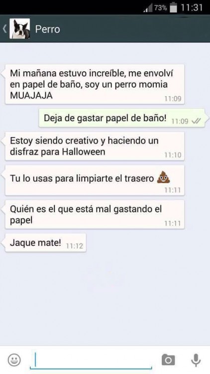 conversaciones-perro-whatsapp-22