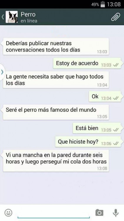 conversaciones-perro-whatsapp-24