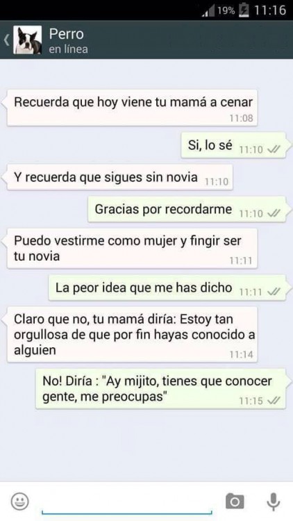 conversaciones-perro-whatsapp-25