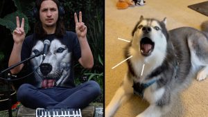 Ancient Husky Melody Viraltrix